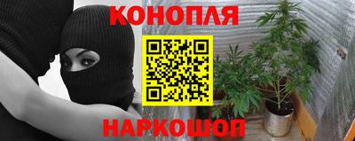 крисы Усть-Илимск