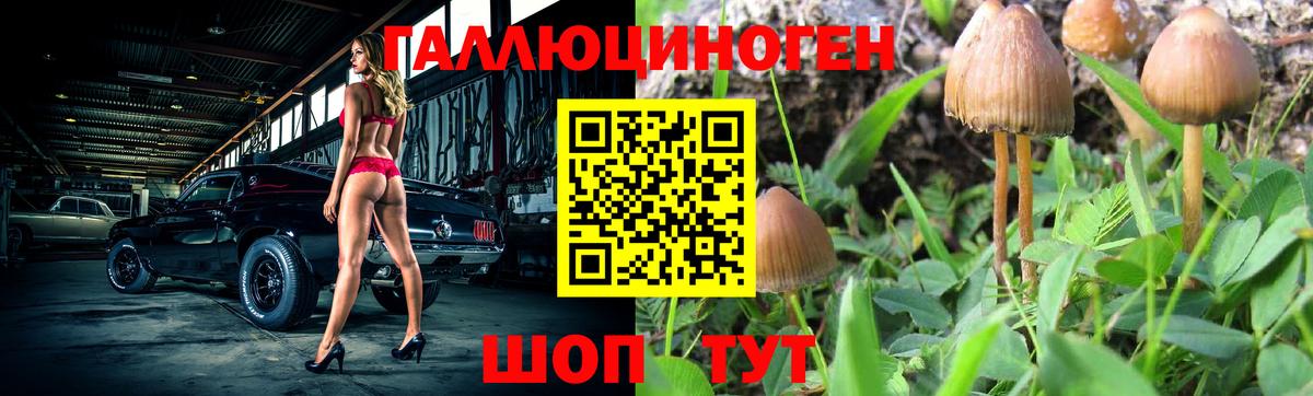 Аргун  Галлюциногенные грибы мухоморы  Вход с VPN 